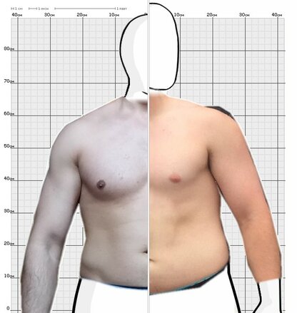 Torso Comparison