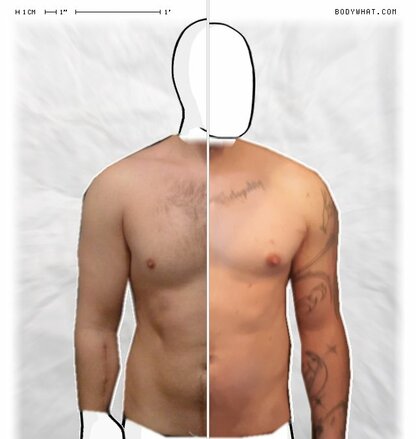 Torso Comparison