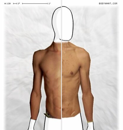 Torso Comparison