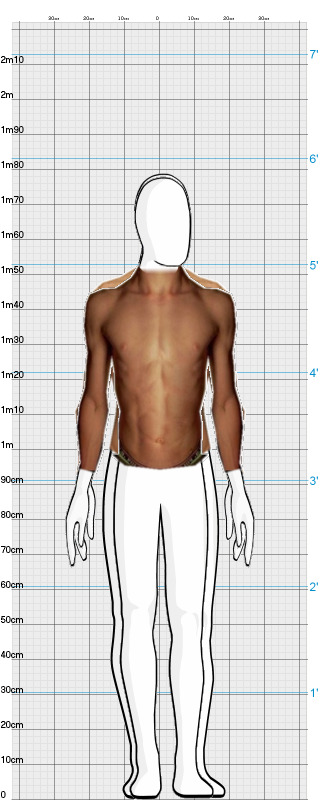 Full Size Comparison