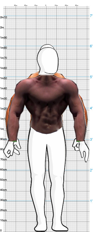 Full Size Comparison