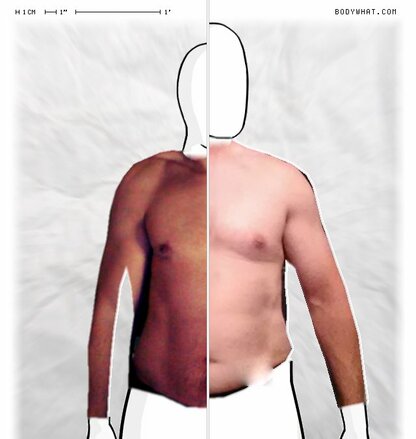 Torso Comparison