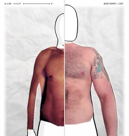 Torso Comparison