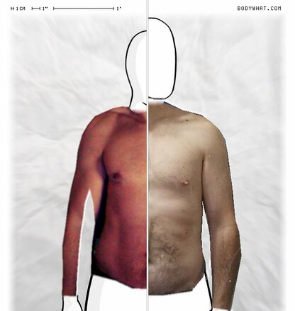 Torso Comparison