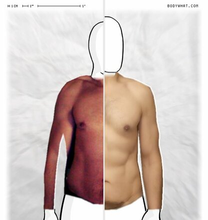 Torso Comparison