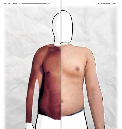 Torso Comparison