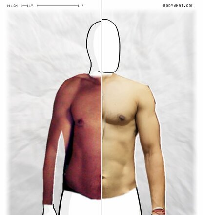 Torso Comparison