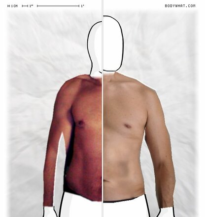 Torso Comparison