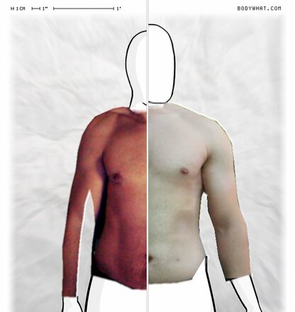 Torso Comparison