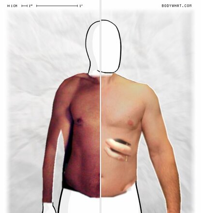 Torso Comparison