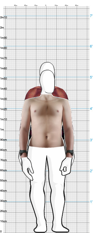 Full Size Comparison