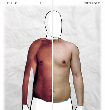 Torso Comparison