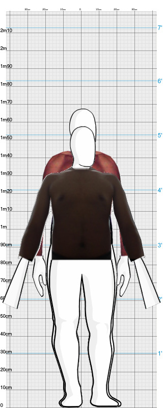 Full Size Comparison