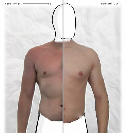 Torso Comparison