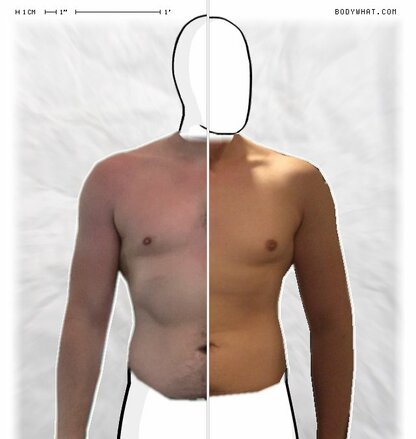 Torso Comparison