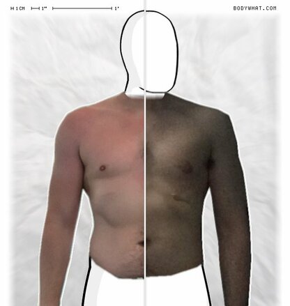 Torso Comparison