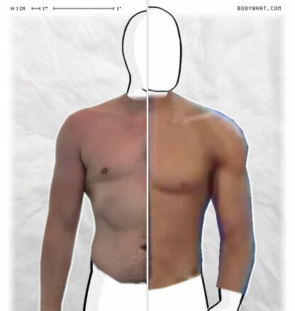 Torso Comparison