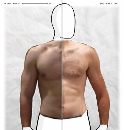 Torso Comparison