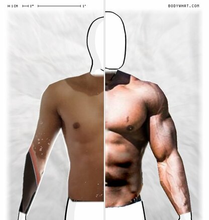 Torso Comparison