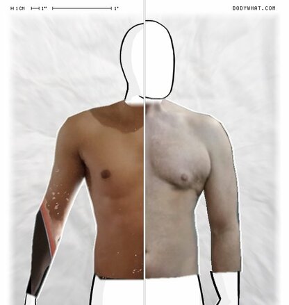 Torso Comparison