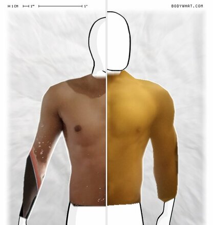 Torso Comparison