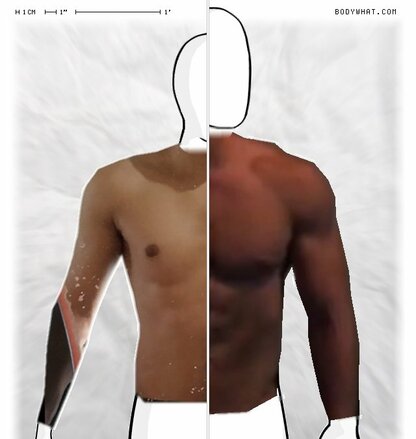 Torso Comparison