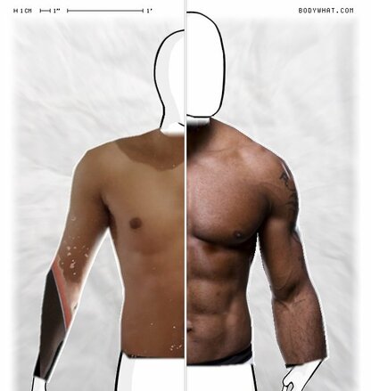 Torso Comparison