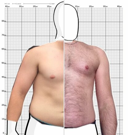 Torso Comparison