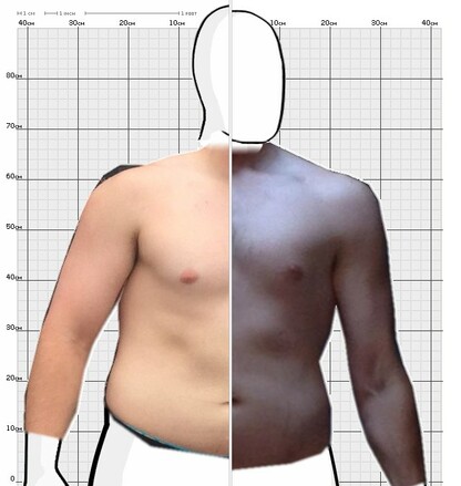 Torso Comparison