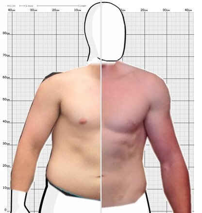 Torso Comparison