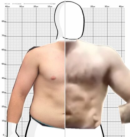 Torso Comparison