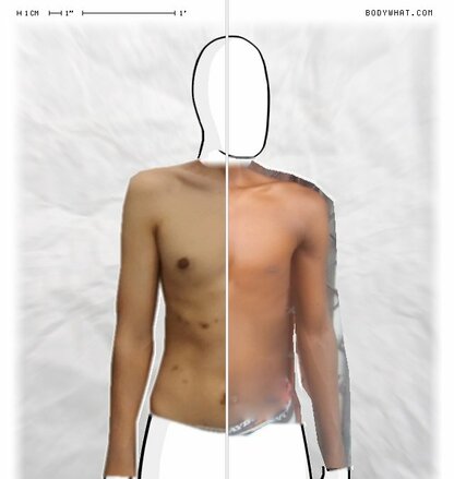 Torso Comparison