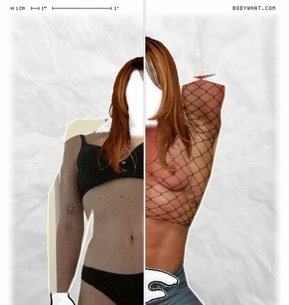 Torso Comparison