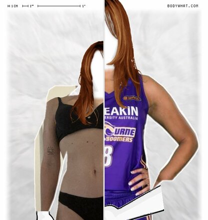 Torso Comparison