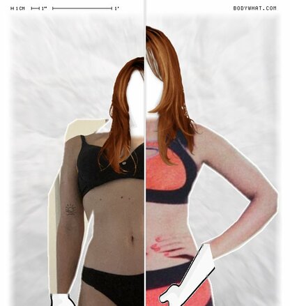 Torso Comparison