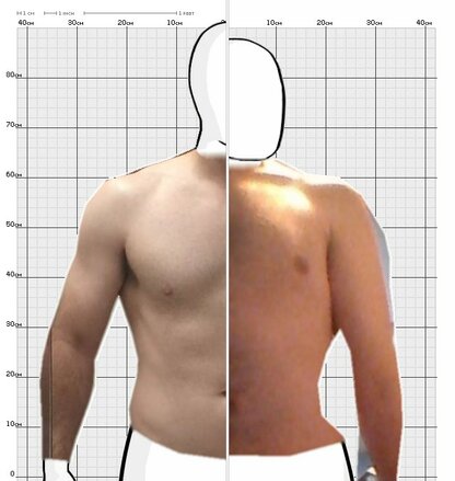 Torso Comparison