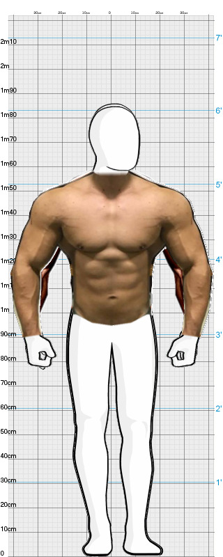 Full Size Comparison