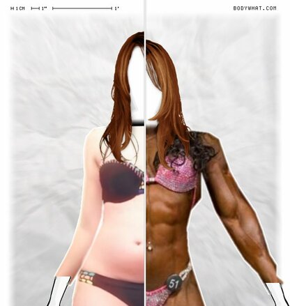 Torso Comparison