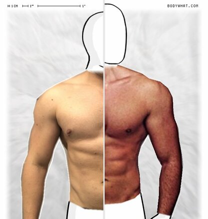 Torso Comparison