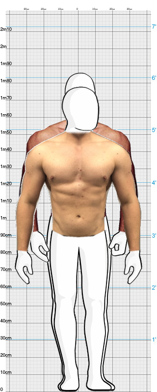 Full Size Comparison