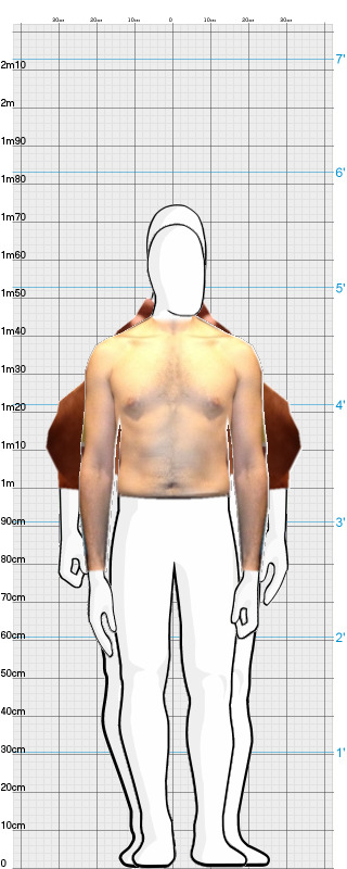 Full Size Comparison