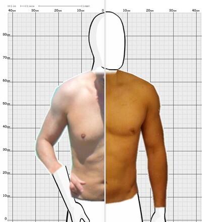 Torso Comparison