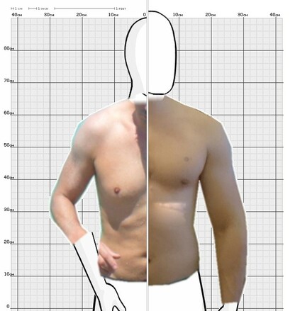 Torso Comparison