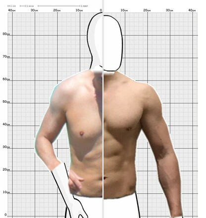 Torso Comparison