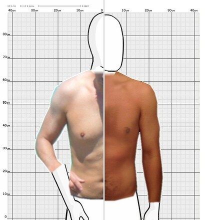 Torso Comparison