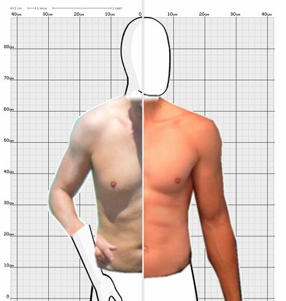 Torso Comparison