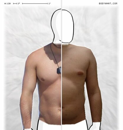 Torso Comparison