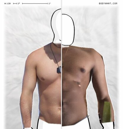 Torso Comparison