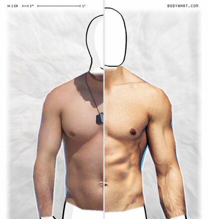 Torso Comparison