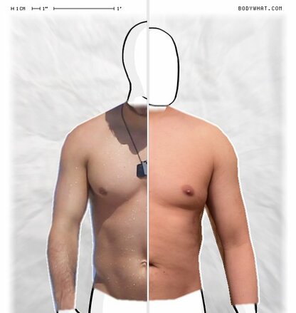 Torso Comparison